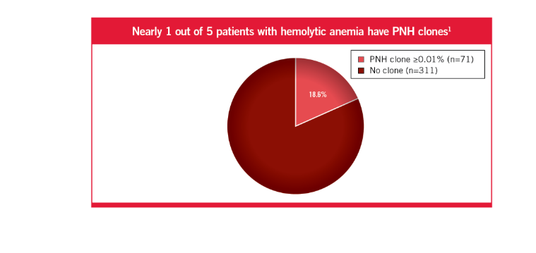 Nearly 1 out of 5 patients with hemolytic anemia have PNH clones1