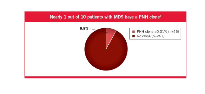 Approximately 1 out of 18 patients with MDS have PNH clones53